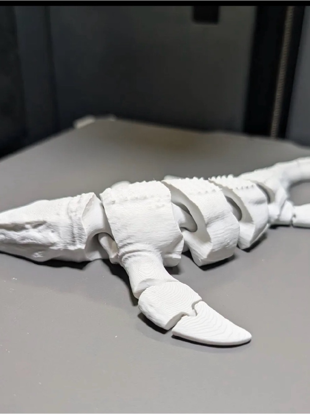 White Reptile Claw Habitat Decoration for Pets